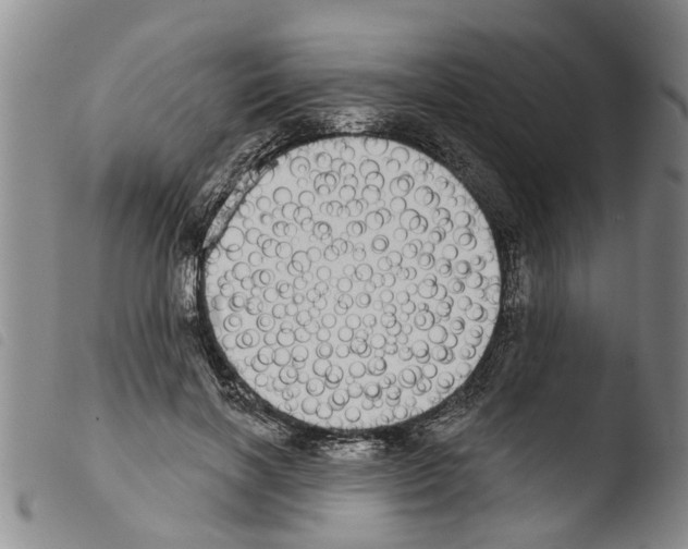 X0000103460646200810240950