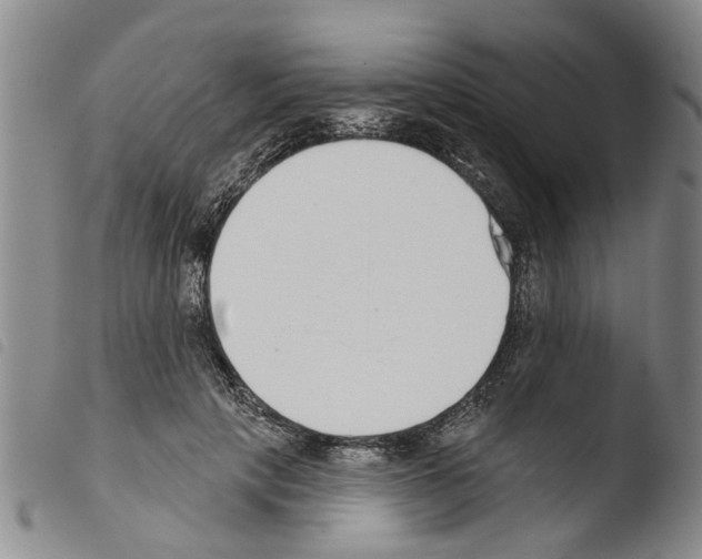 X0000103460649200810240950