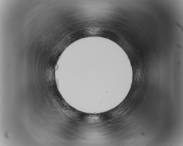 X0000103460651200810240951