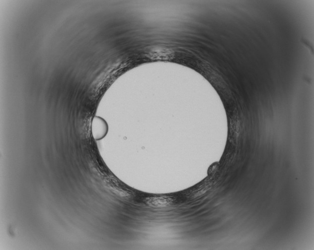 X0000103460652200810240951