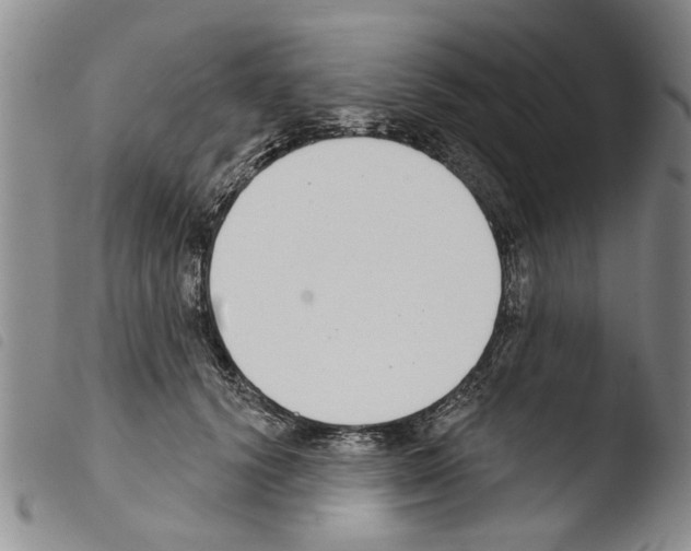 X0000103460656200810240951