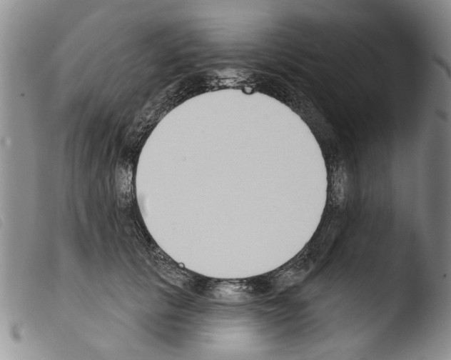 X0000103460657200810240951
