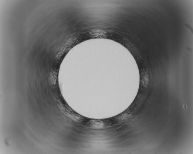 X0000103460658200810240951
