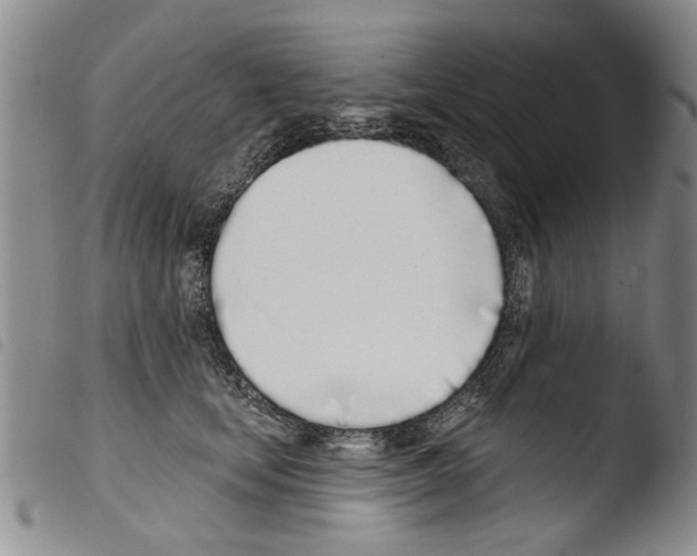 X0000103460659200810240951