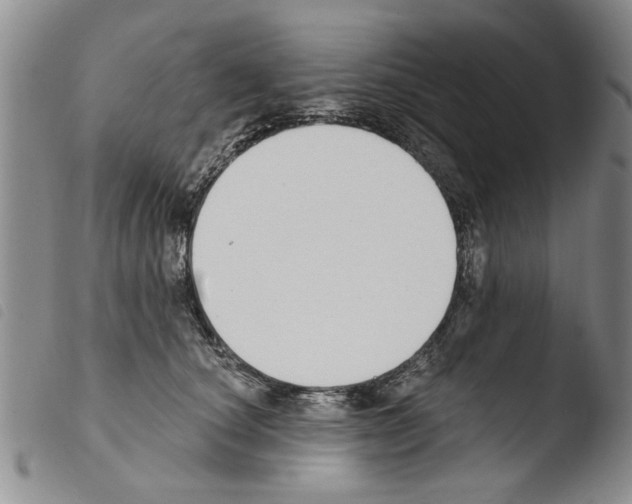 X0000103460660200810240951