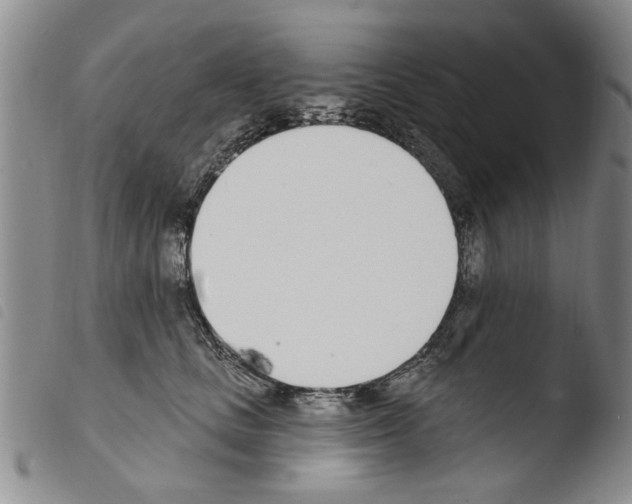 X0000103460661200810240951