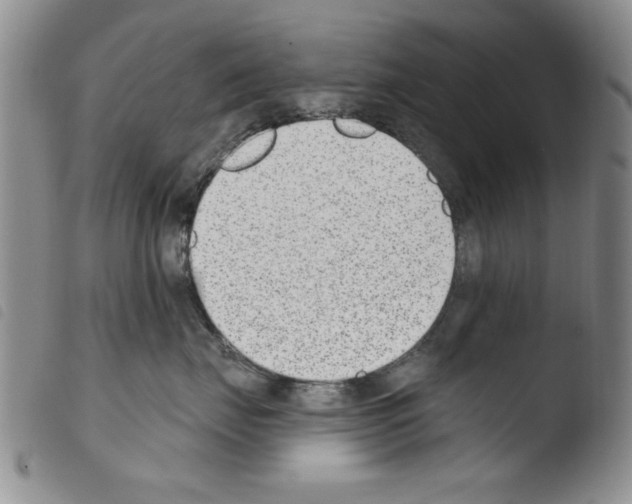 X0000103460671200810240951