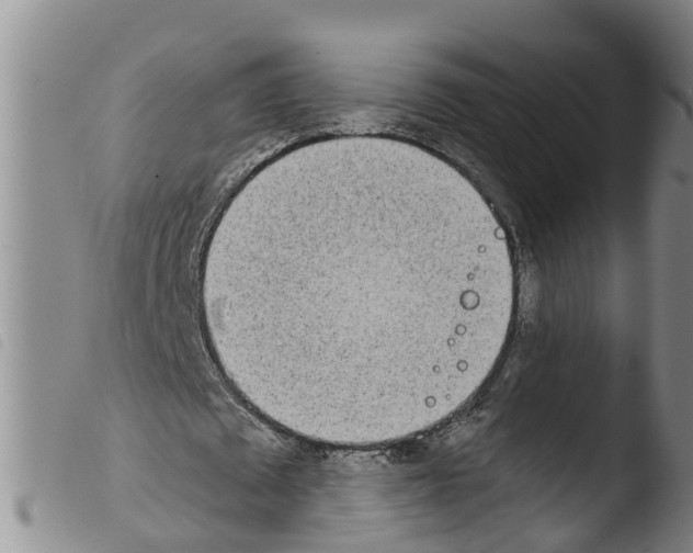 X0000103460673200810240950