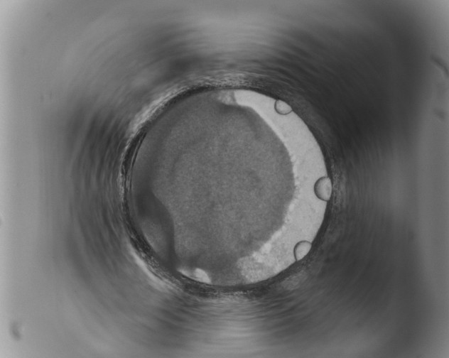 X0000103460674200810240950