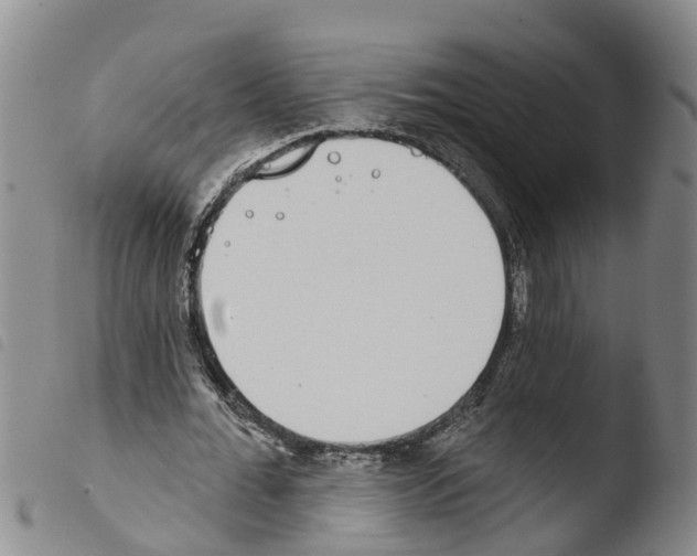X0000103460676200810240950