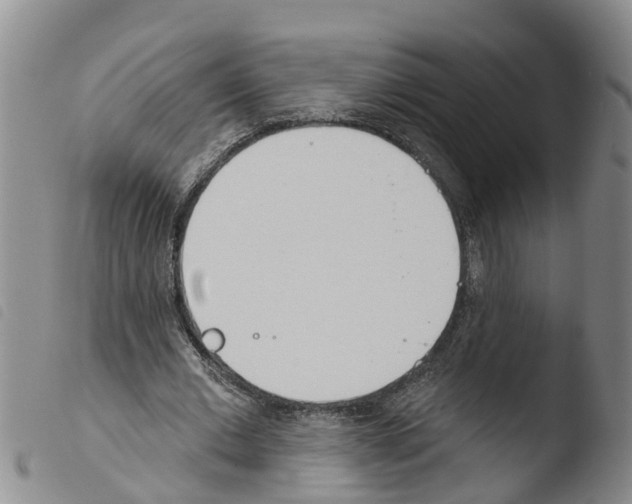 X0000103460677200810240950
