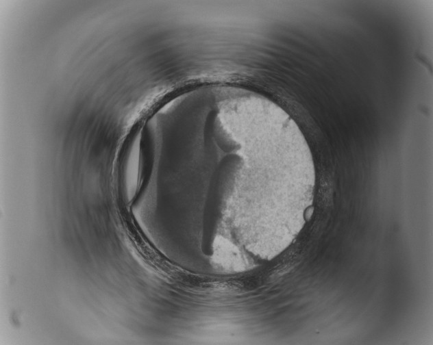 X0000103460678200810240950