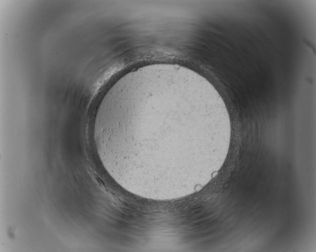 X0000103460679200810240950