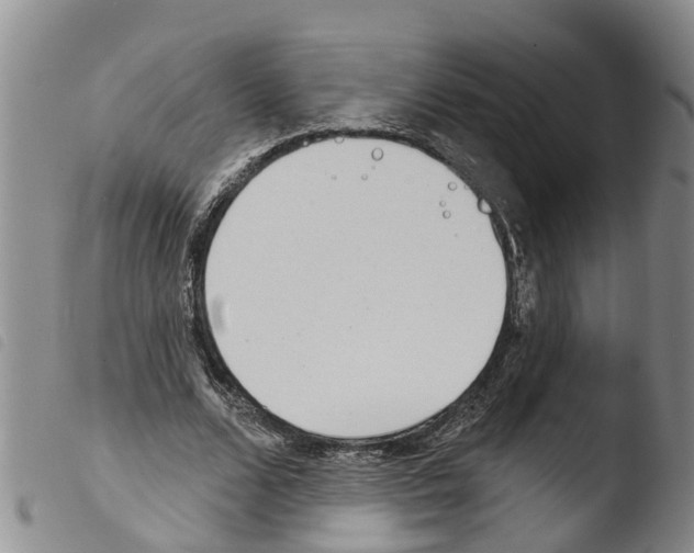 X0000103460680200810240950