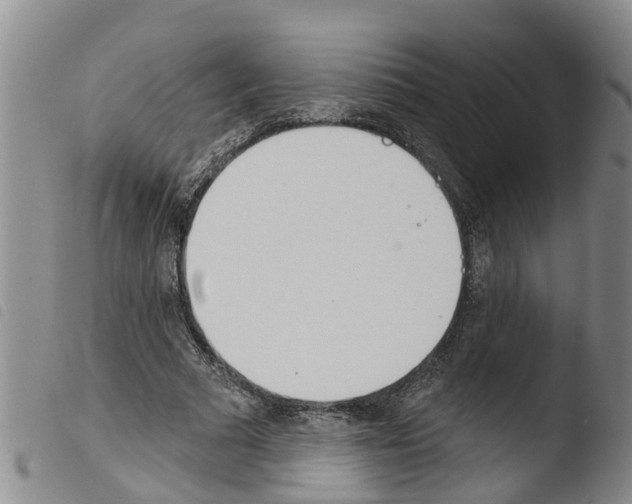 X0000103460681200810240950