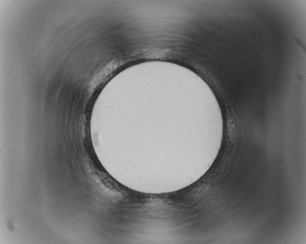 X0000103460682200810240950