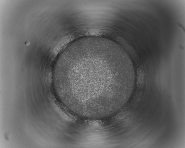 X0000103460683200810240950