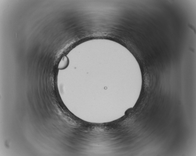 X0000103460684200810240950