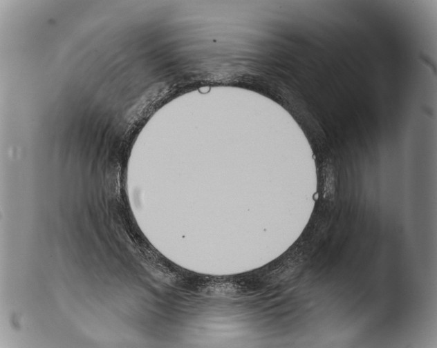 X0000103460685200810240950
