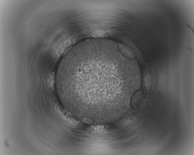 X0000103460687200810240950