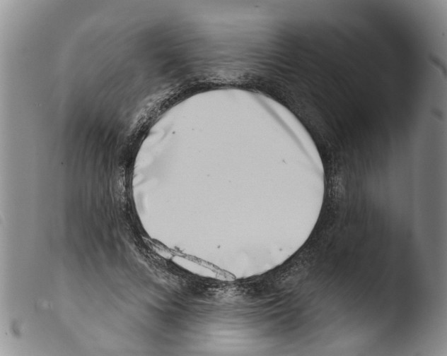 X0000103460688200810240950