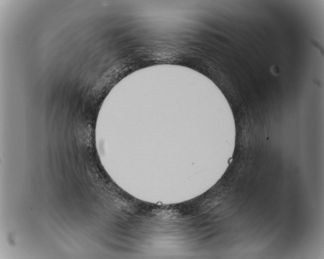 X0000103460689200810240950