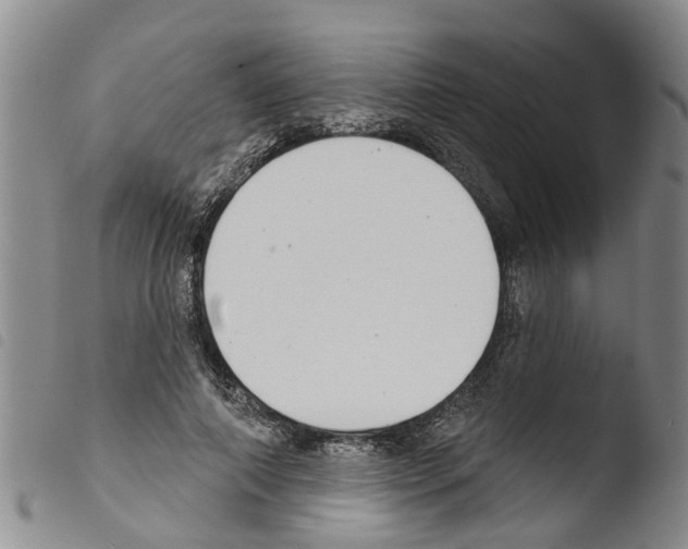 X0000103460690200810240950
