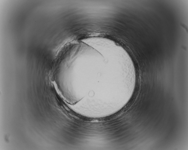 X0000103460691200810240950