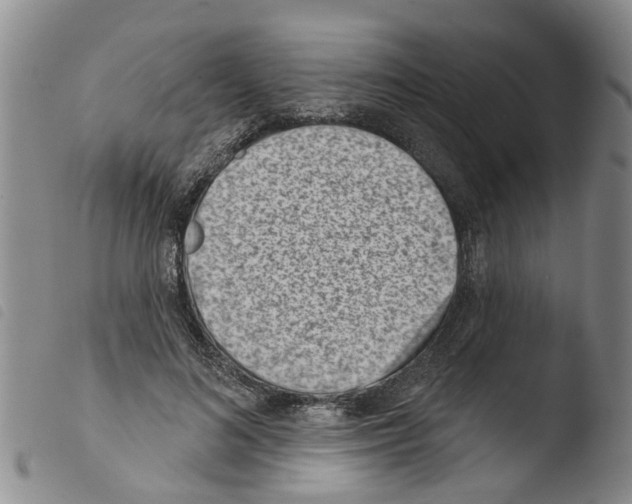 X0000103460692200810240950