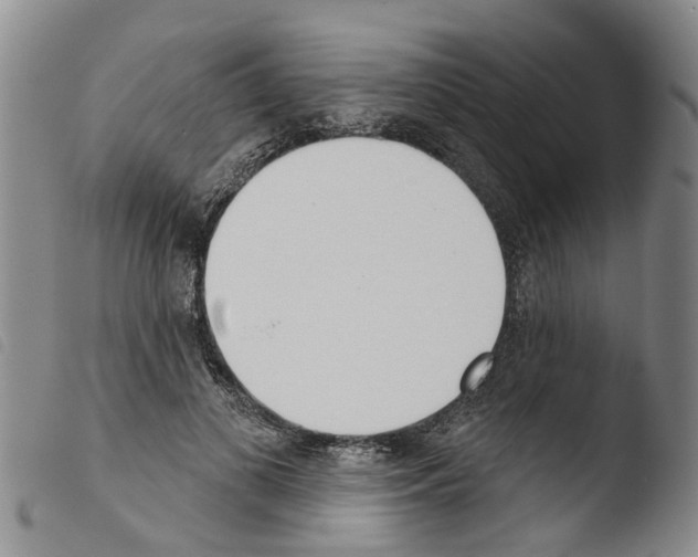 X0000103460693200810240950