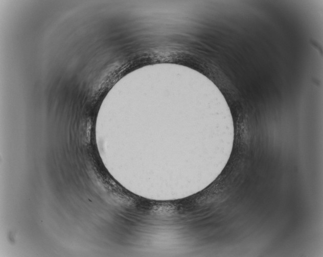 X0000103460694200810240950