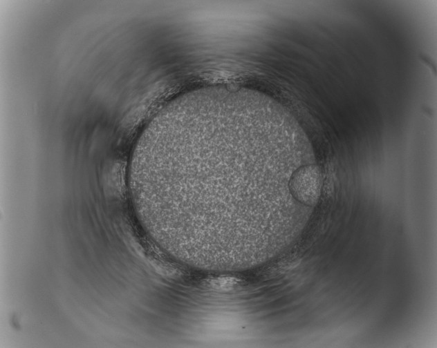 X0000103460695200810240950