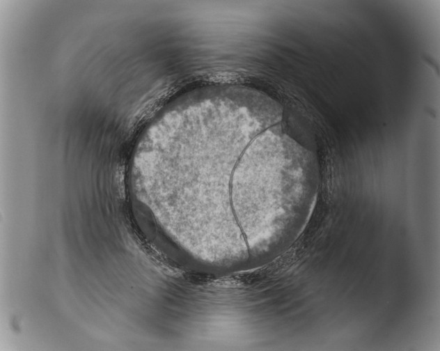 X0000103460696200810240949