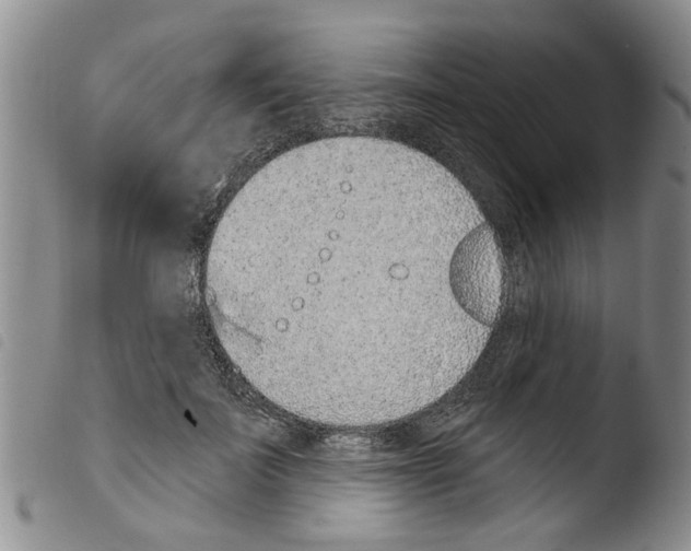 X0000103460699200810240949