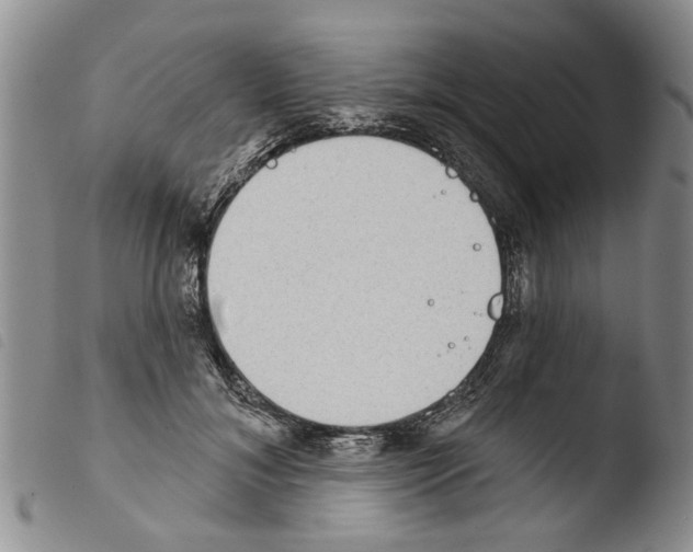 X0000103460700200810240949