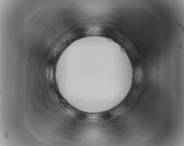 X0000103460701200810240949
