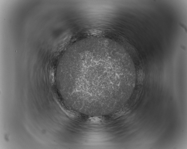 X0000103460703200810240949