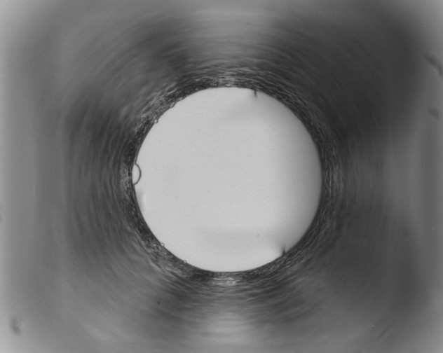X0000103460704200810240949