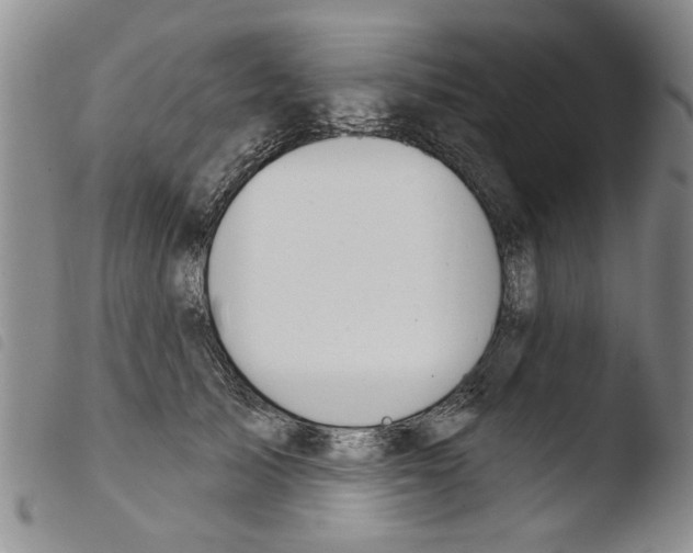 X0000103460705200810240949