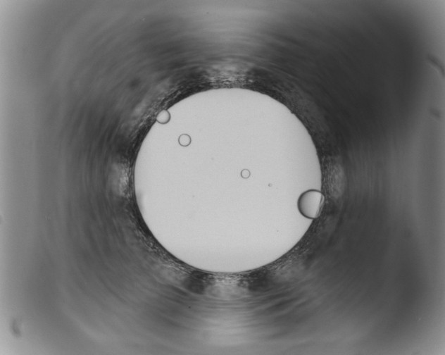 X0000103460709200810240949