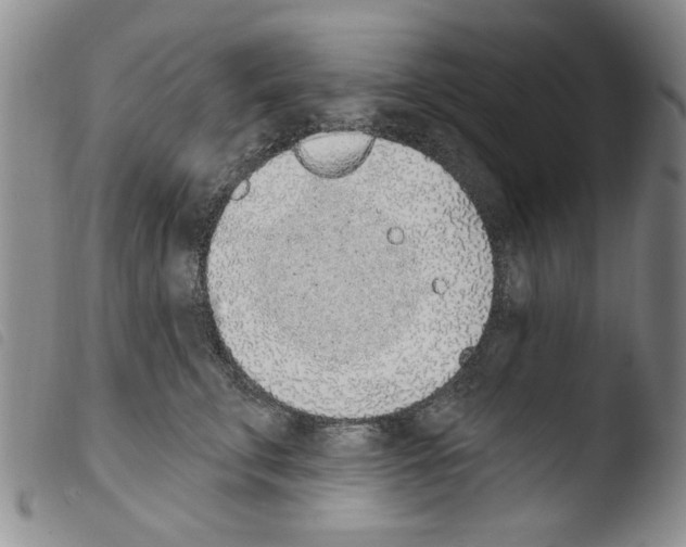 X0000103460711200810240949