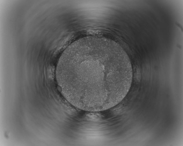 X0000103460712200810240949