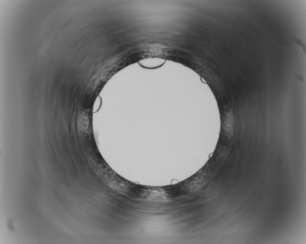 X0000103460715200810240949