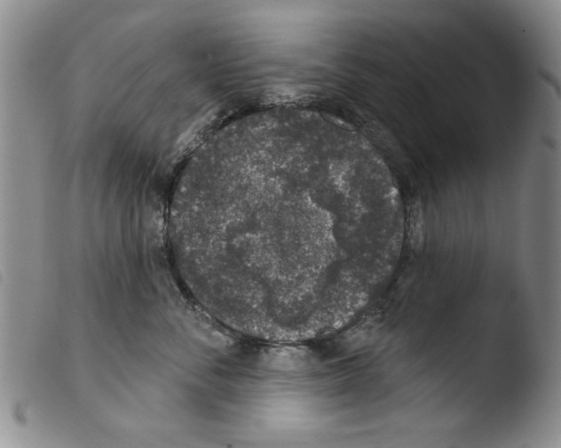 X0000103460716200810240949