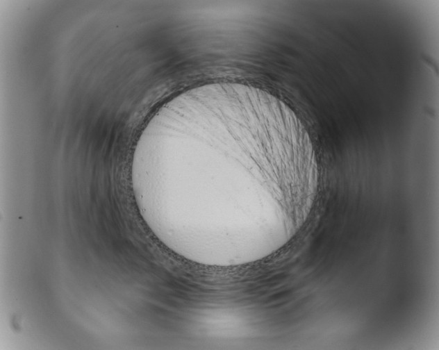 X0000103460717200810240949