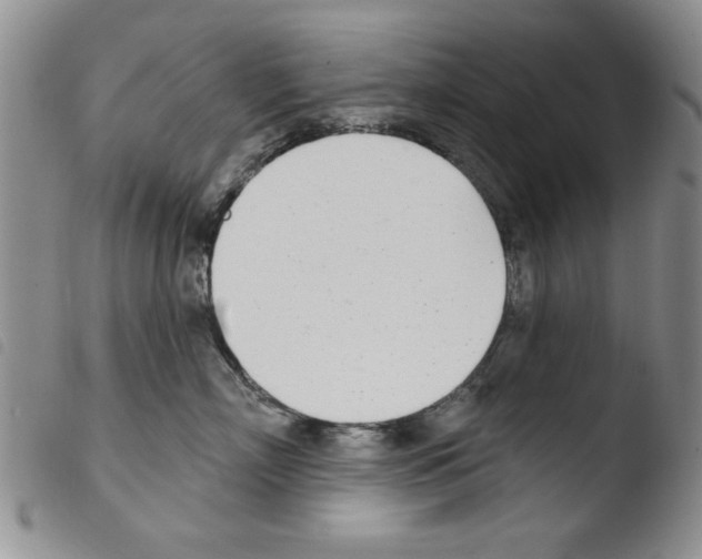 X0000103460718200810240949
