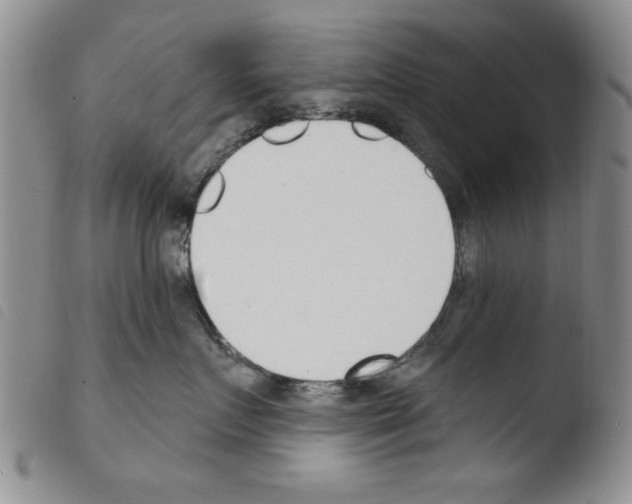 X0000103460719200810240949
