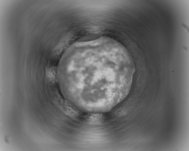 X0000103460720200810240949