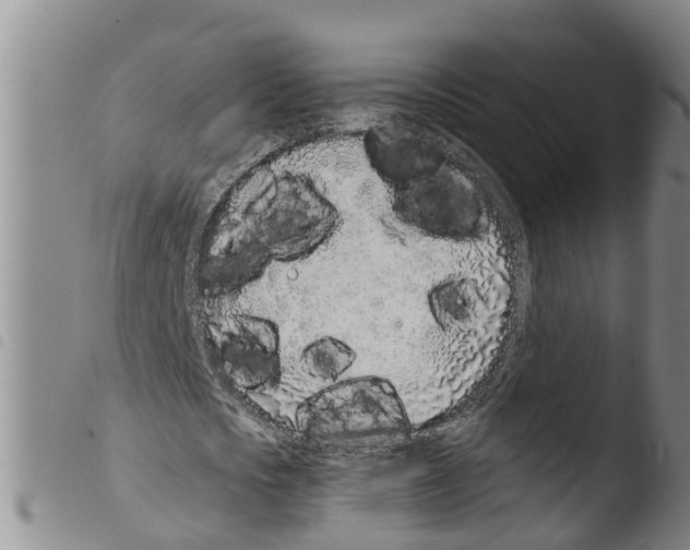 X0000103460721200810240949