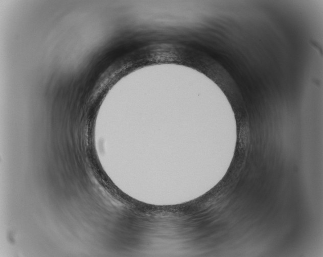 X0000103460722200810240949
